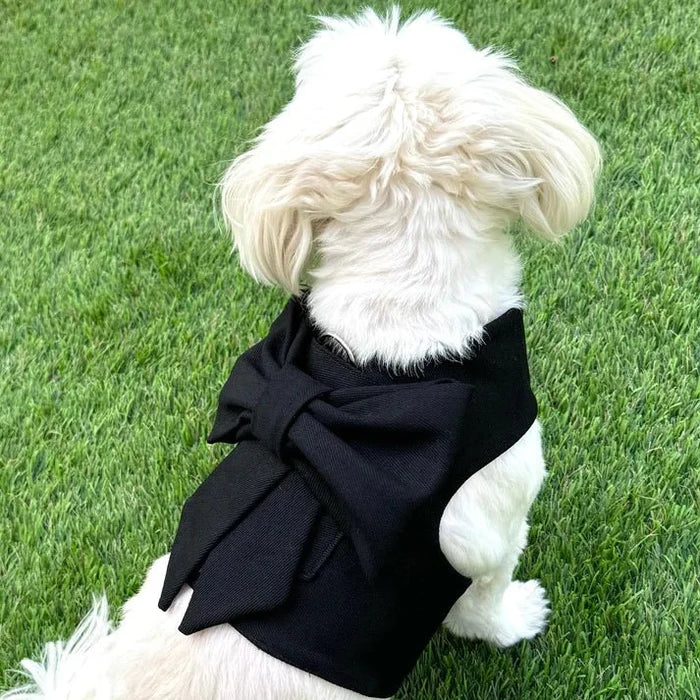 Spring Black Bow Harness - Posh Puppy Boutique