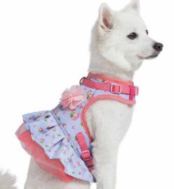 Spring Scent Inspired Floral Dog Harness Dress in Pastel Blue - Posh Puppy Boutique