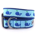 Squirt Collar and Lead Collection - Posh Puppy Boutique