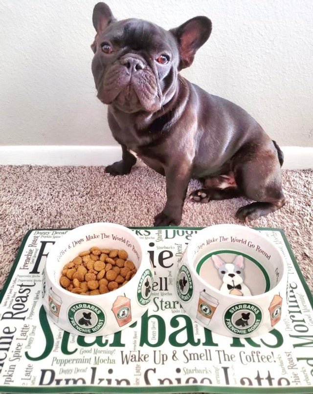 Starbarks Bowl - Posh Puppy Boutique