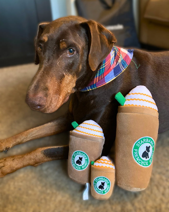 Starbarks Puppucchino Toy - Posh Puppy Boutique