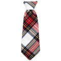 Stewart Tartan Red Neck Tie - Posh Puppy Boutique