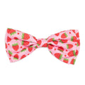 Strawberries Bow Tie - Posh Puppy Boutique