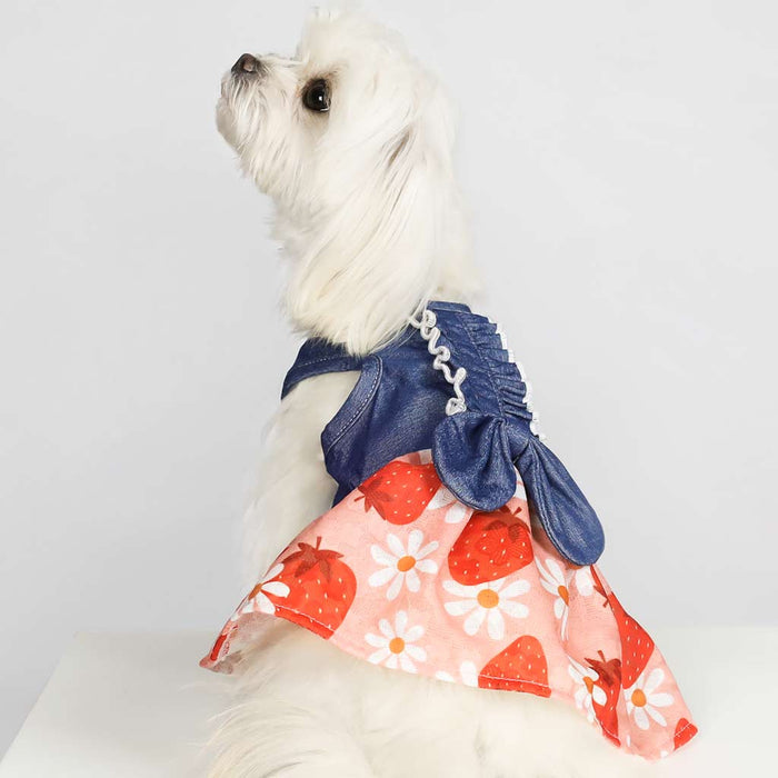 Strawberry Denim Dress - Posh Puppy Boutique