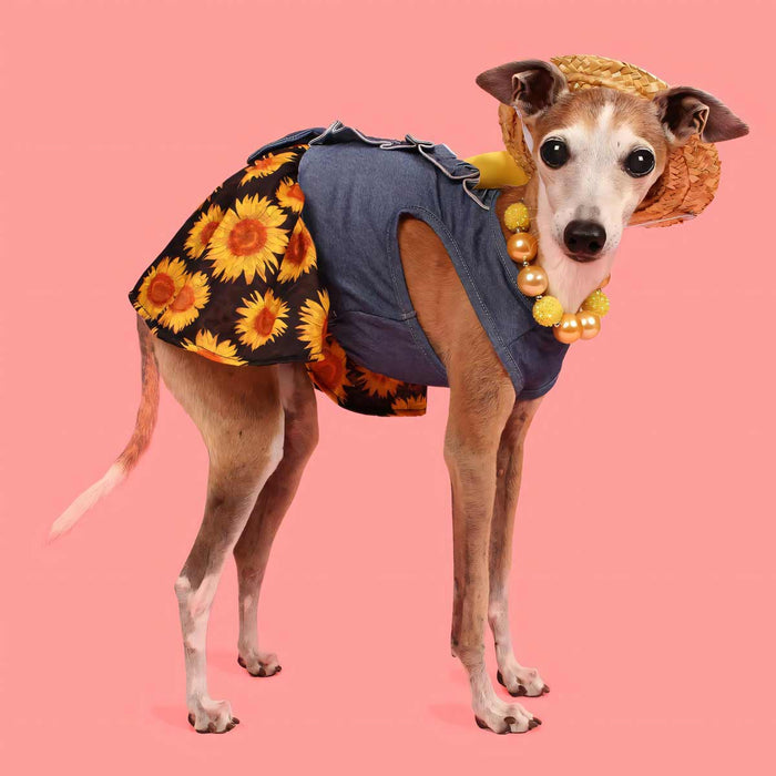 Sunflower Denim Dress - Posh Puppy Boutique