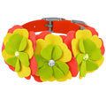Susan Lanci Citrus Flower Collar - Posh Puppy Boutique