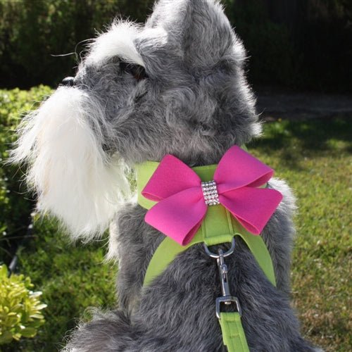 Susan Lanci Contrasting Nouveau Bow Tinkie Harness - Kiwi and Pink Sapphire - Posh Puppy Boutique