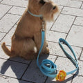 Susan Lanci Darla Leash - Posh Puppy Boutique