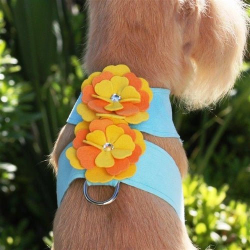 Susan Lanci Darla Tinkie Harness - Posh Puppy Boutique