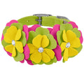 Susan Lanci Dragon Fruit Flower Collar - Posh Puppy Boutique