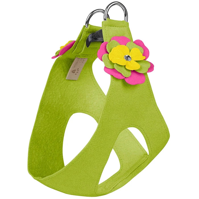 Susan Lanci Dragon Fruit Flower Step In Harness - Posh Puppy Boutique