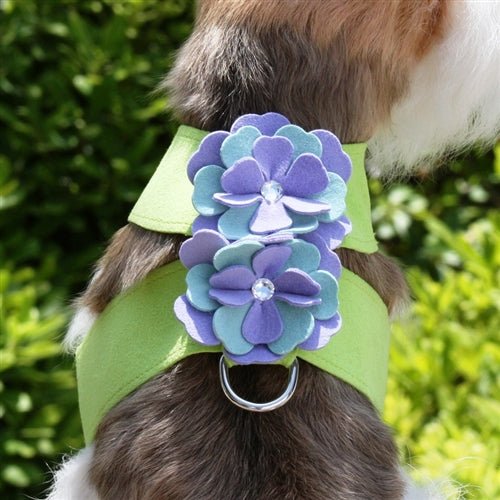 Susan Lanci Emma Tinkie Harness - Posh Puppy Boutique