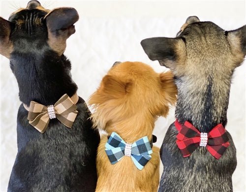 Susan Lanci Fawn Gingham Nouveau Bow Ultrasuede Collar - Posh Puppy Boutique