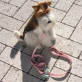 Susan Lanci Hope Leash - Posh Puppy Boutique