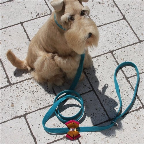 Susan Lanci Isabella Leash - Posh Puppy Boutique