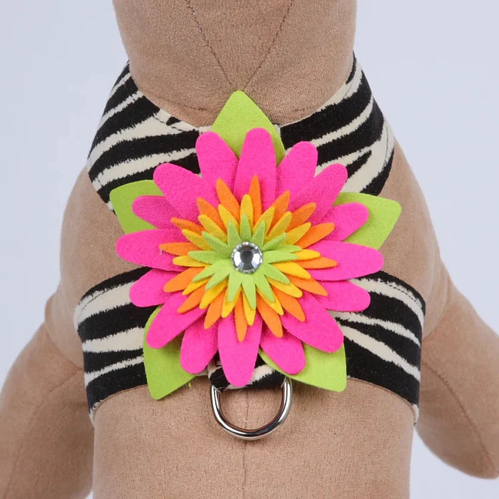 Susan Lanci Island Flower Collection Tinkie Harness in Jungle Prints