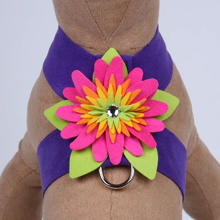 Susan Lanci Island Flower Collection Tinkie Harness-Many Colors