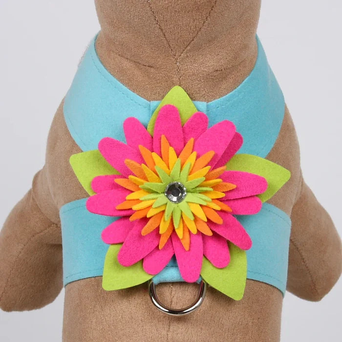 Susan Lanci Island Flower Collection Tinkie Harness-Many Colors