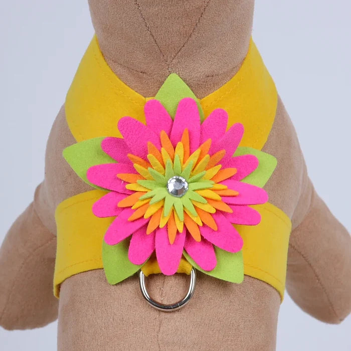 Susan Lanci Island Flower Collection Tinkie Harness-Many Colors