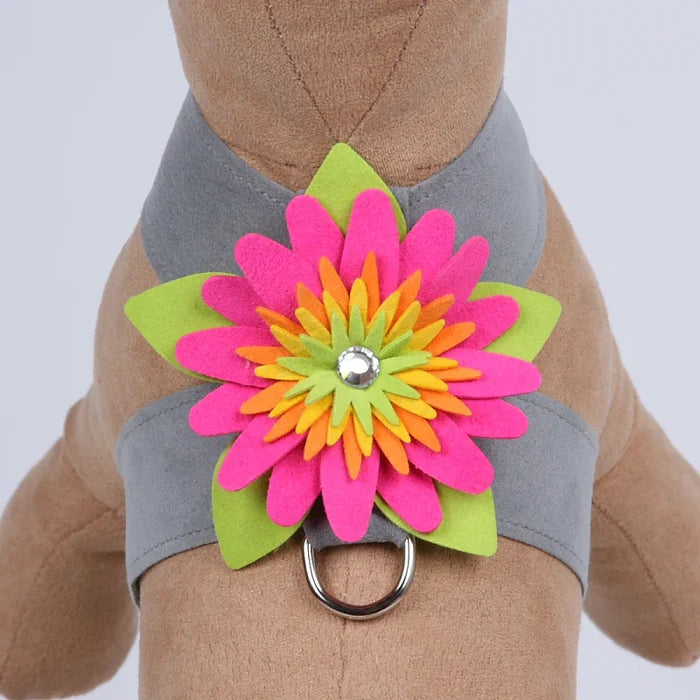 Susan Lanci Island Flower Collection Tinkie Harness-Many Colors