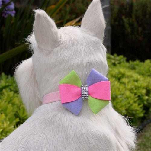 Susan Lanci Madison Bow Collar - Posh Puppy Boutique