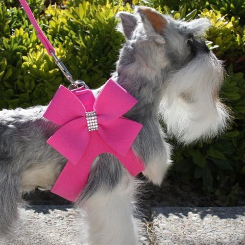 Susan Lanci Nouveau Bow Step - In Harnesses in Many Colors - Posh Puppy Boutique