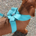 Susan Lanci Nouveau Bow Tinkie Harnesses in Many Colors - Posh Puppy Boutique