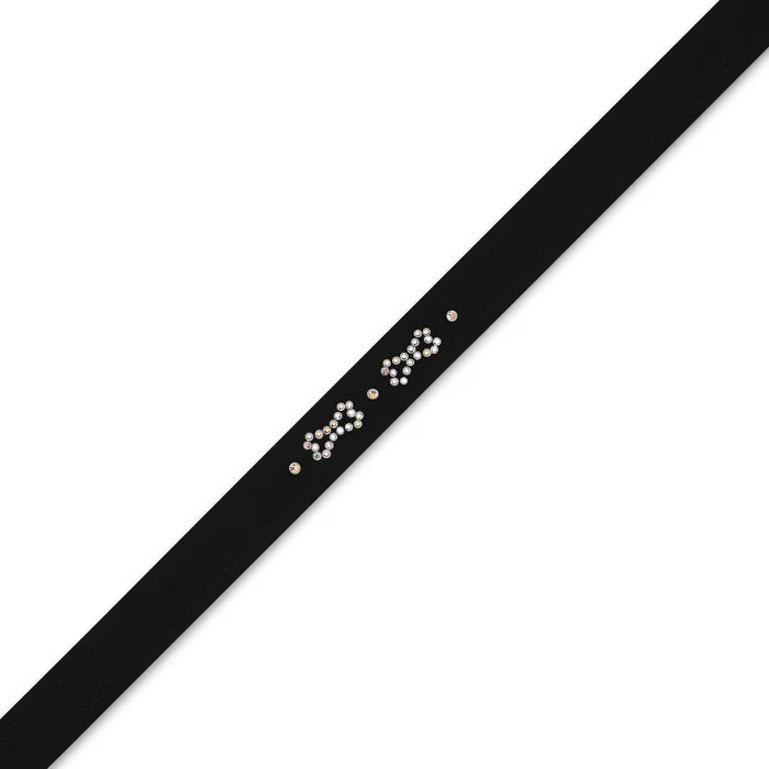Susan Lanci Orion's Bone Leash in Many Colors - Posh Puppy Boutique