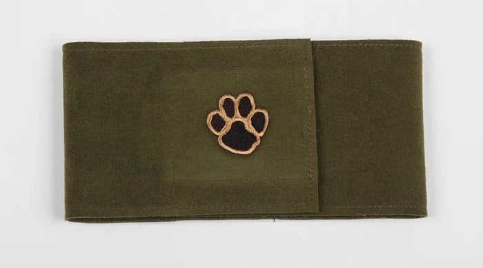 Susan Lanci Paws Wizzers Bellyband - Posh Puppy Boutique