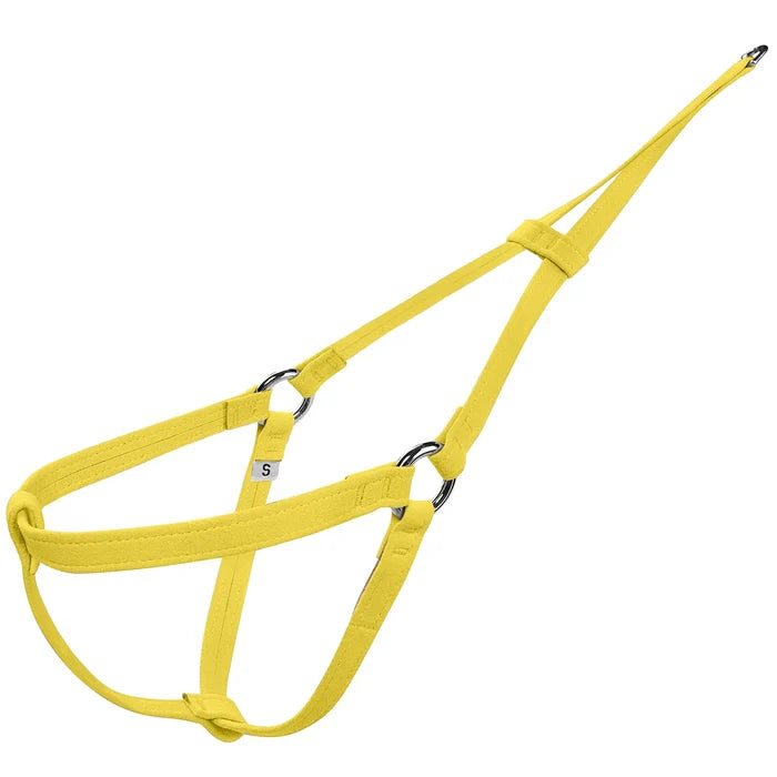 Susan Lanci Plain and Simple Step N Go Harness - Posh Puppy Boutique