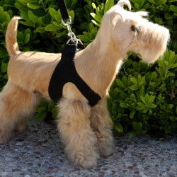 Susan Lanci Solid Plain Pure & Simple Step-In Harnesses - In Many Colors - Posh Puppy Boutique