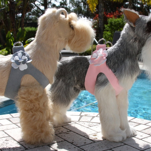 Susan Lanci Special Occasion Step-In Harness- Puppy Pink - Posh Puppy Boutique
