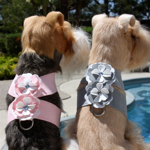 Susan Lanci Special Occasion Tinkie Harness- Puppy Pink - Posh Puppy Boutique