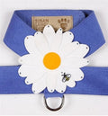 Susan Lanci Tinkie Large Daisy Collection Tinkie Ultrasuede Harnesses - Posh Puppy Boutique