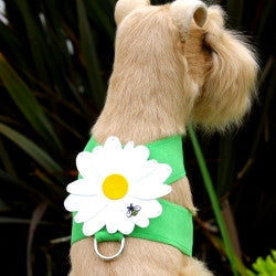 Susan Lanci Tinkie Large Daisy Collection Tinkie Ultrasuede Harnesses - Posh Puppy Boutique
