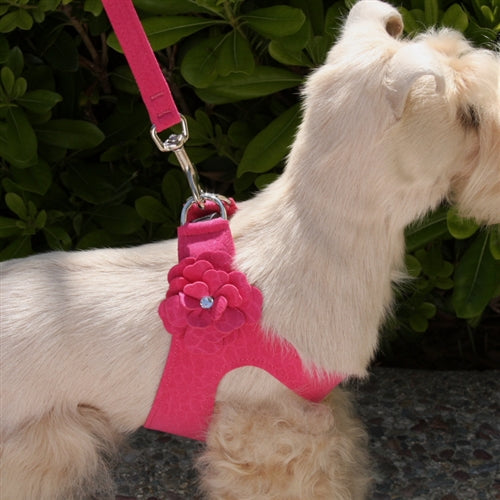 Susan Lanci Tinkie's Garden Simple Step-In Harnesses - Many Colors - Posh Puppy Boutique