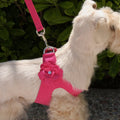 Susan Lanci Tinkie's Garden Simple Step-In Harnesses - Many Colors - Posh Puppy Boutique