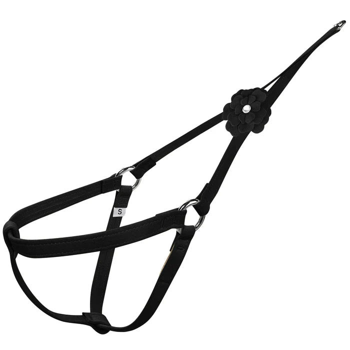 Susan Lanci Tinkies Garden Step N Go Harness in Many Colors - Posh Puppy Boutique