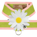 Susan Lanci Two Tone Lime Tinkie Harness with Puppy Pink Trim with Daisy - Posh Puppy Boutique
