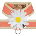 Susan Lanci Two Tone Peaches N Cream Tinkie Harness with Doe Trim with Daisy - Posh Puppy Boutique