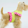 Susan Lanci Two Tone Pinafore Collection Tinkie Harness - Posh Puppy Boutique