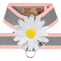 Susan Lanci Two Tone Platinum Tinkie Harness with Puppy Pink Trim with Daisy - Posh Puppy Boutique