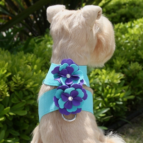 Susan Lanci Violet Tinkie Harness - Posh Puppy Boutique