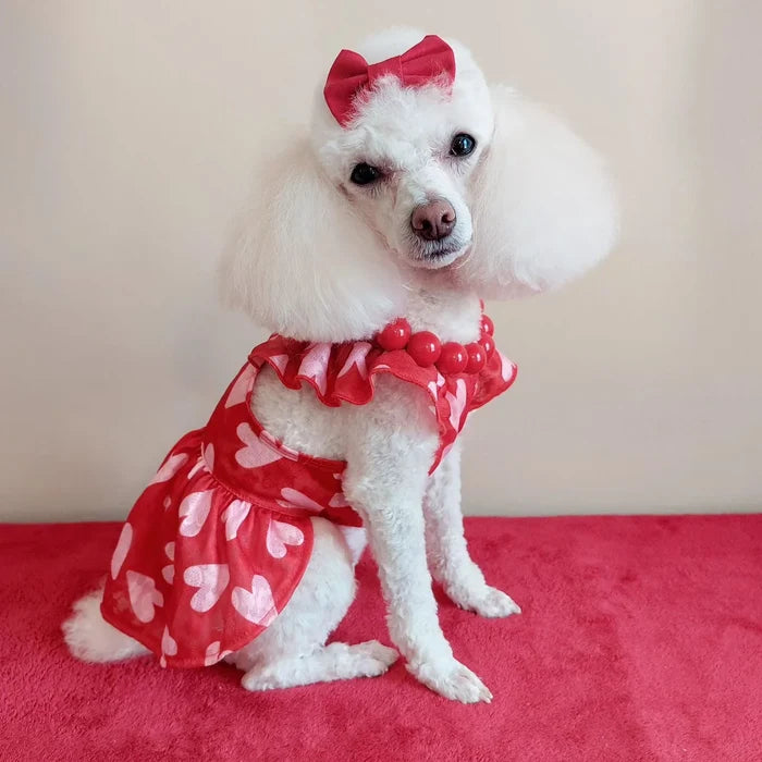 Sweet Heart Dress