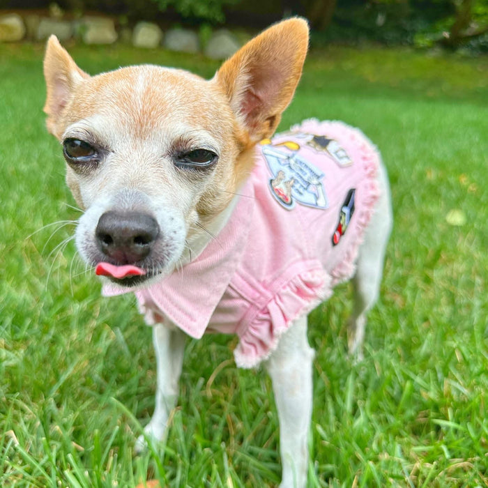 Swiftie Inspired #3 Denim Dog Jacket- Pink
