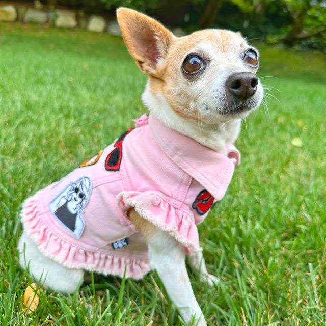 Swiftie Inspired #3 Denim Dog Jacket- Pink