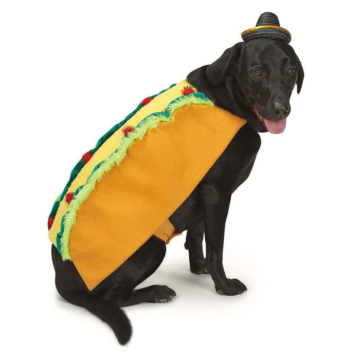 Tasty Taco & Sombrero Costume