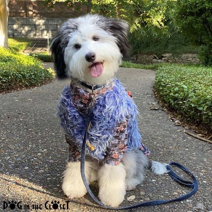 The Ethel - Blue Floral Waffle Knit Dress - Posh Puppy Boutique