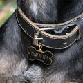 Treat Yo Self Pet ID Tag in Black