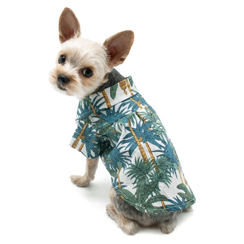 Tropical Leaf Shirt - Posh Puppy Boutique